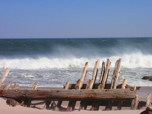Lungo la Skeleton Coast