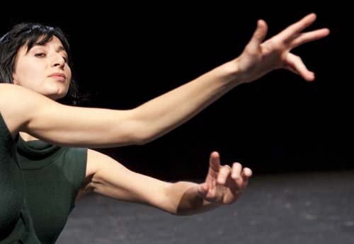 Ambra senatore aterdanza 1