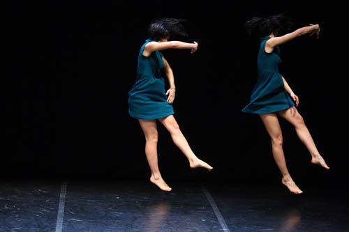 Ambra senatore aterdanza 2