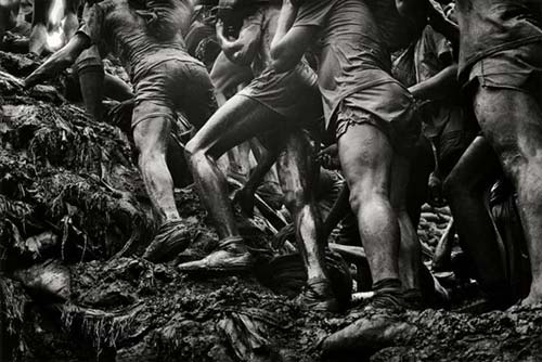 Salgado-brasil