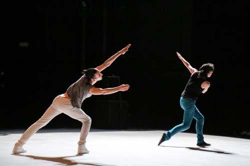 4 violet foto tine declerck