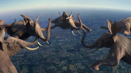 Festival annecy 2014 22