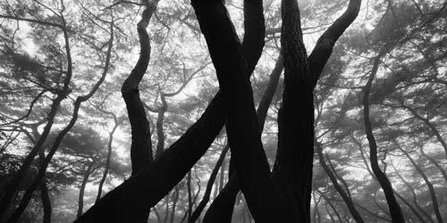 Perduti nel paesaggio 1