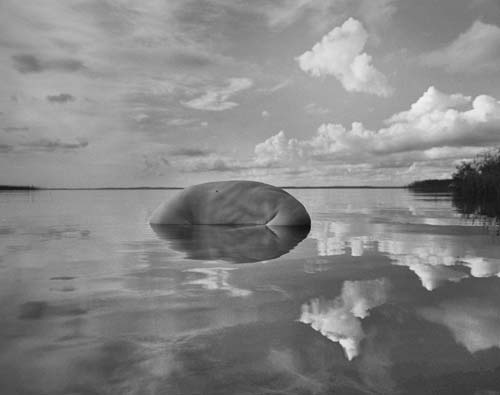 Perduti nel paesaggio 3