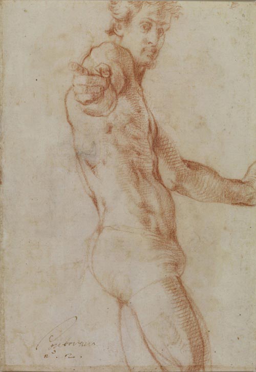 Pontormo (Jacopo Carucci) (Pontorme, Empoli 1494-Firenze 1557), Studio di nudo (Autoritratto?), 1522 1525,