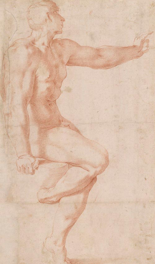 Rosso Fiorentino (Giovan Battista di Jacopo) (Firenze 1494-Fontainebleau 1540), Studio di nudo seduto, 1525-1527 circa,