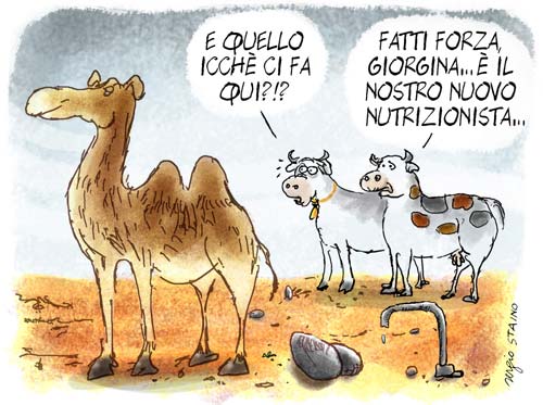 Sergio Staino, Il Venerdì, 2014