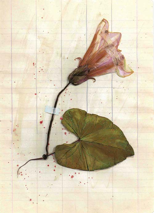 Il fuoco non-ha-amici di davide garota-pagina 1