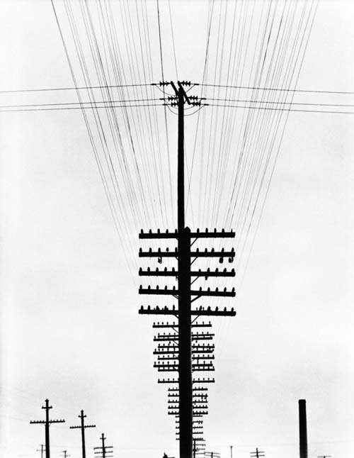 4 tina modotti-fili del telegrafo circa 1924