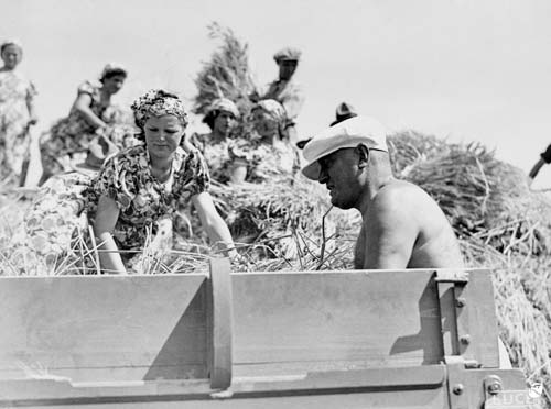 Mussolini a littoria per la trebbiatura del grano1938
