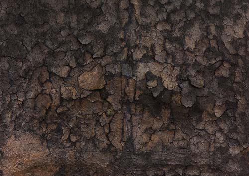 4 silvano-tessarollo earth 2013 installazione con terra erba e acqua 200x280cm