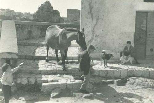 9mostra pasolini matera