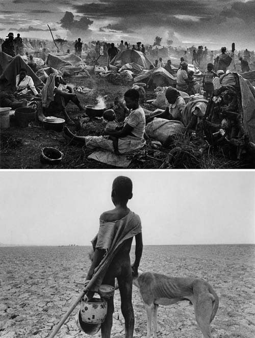 Il sale della terra 5