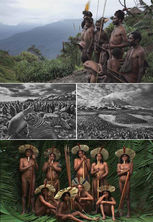 Il sale della terra 6