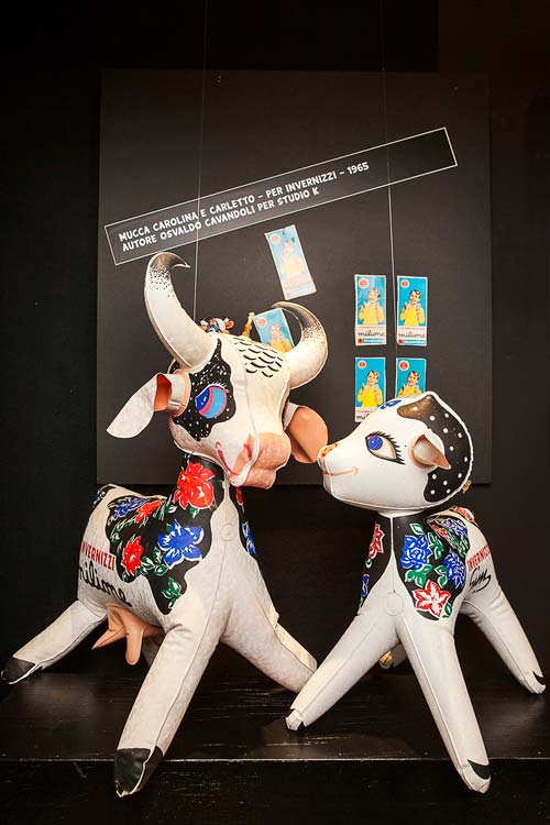 4 mucca carolina -invernizzi foto valerio durso