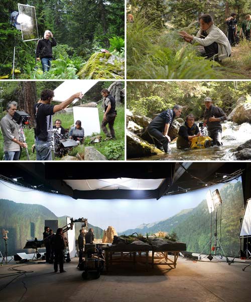 Minuscule valle formiche perdute 5