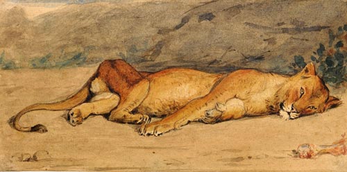 Antoine louis barye-attribuzione-leonessa a riposo acquerello su carta