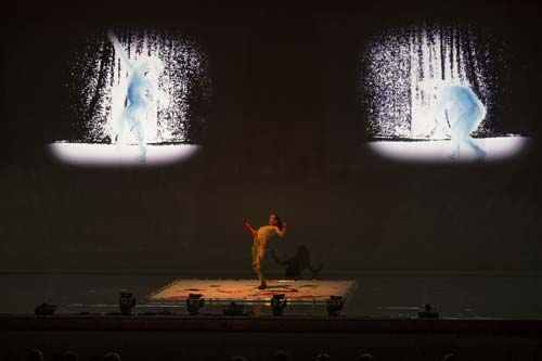 2 collective measures-shen wei-foto rolando paolo guerzoni