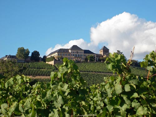 Schloss Johannisberg © Sabine Siemon 