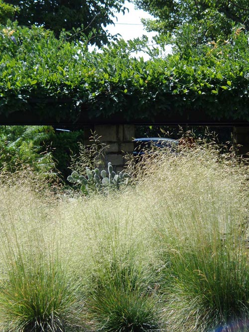 2impariamo a progettare un giardino low cost