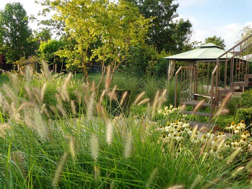 3impariamo a progettare un giardino low cost