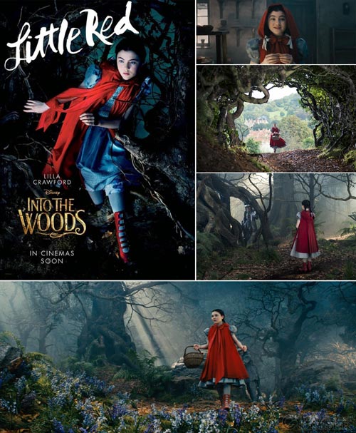 Into the woods 4