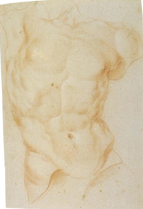 2 lipsia inv 7903-torso del laocoonte