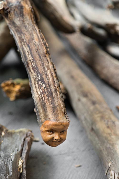 E01482-­001-­REFhd1_VO_LogDog DANH VO, Log Dog, 2013 