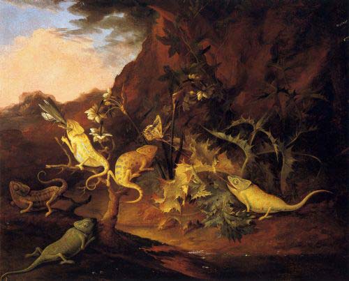 Nicola-van-houbraken,-i-camaleonti,-olio-su-tela,-cm-64,5x80,-1690-ca
