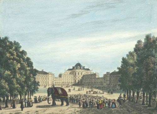 Enrico-gonin-litografia-castello-di-stupinigi-con-l-elefante-fritz-1836-archivio-storico-della-citt-di-torino
