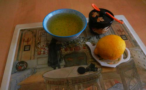 Canarino foto andrea mancaniello