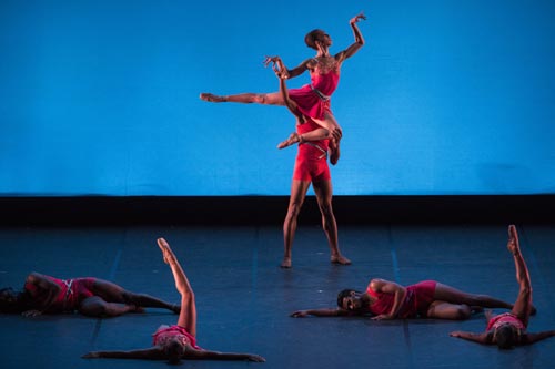 1 vessels-foto silvia lelli