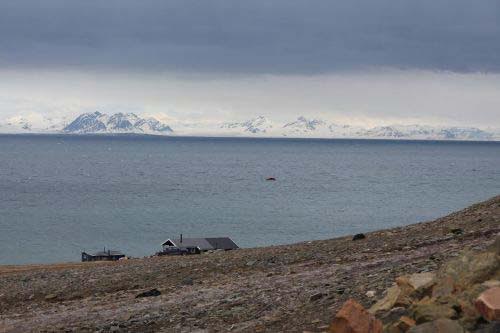 Panorama sui ghiacciai