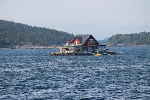 5 lysefjord-allevamento di salmoni in mare-foto federico ciavaglia