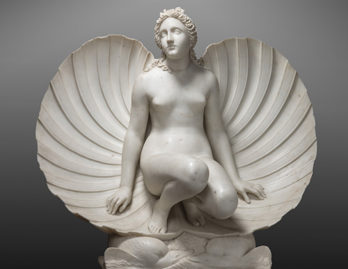 Venere che esce da una conchiglia