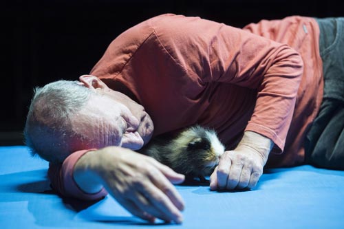 Das maedchen mit den schwefelhoelzern hq 10