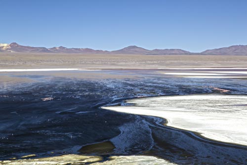 13 ande salar de atacama cile-foto michela goretti