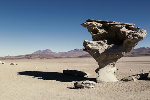 22 ande arbor de piedra-foto michela goretti