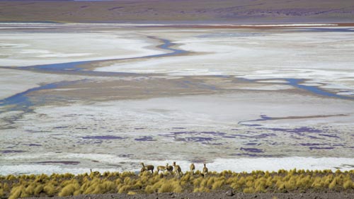 25 ande lagune bolivia-foto michela goretti