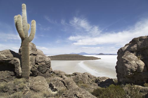 26 ande isola del pescado salar de uyuni bolivia-foto michela goretti