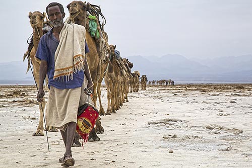 03 foto michela goretti