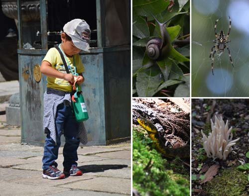 Koyasan 11 okunoin-foto andrea mancaniello