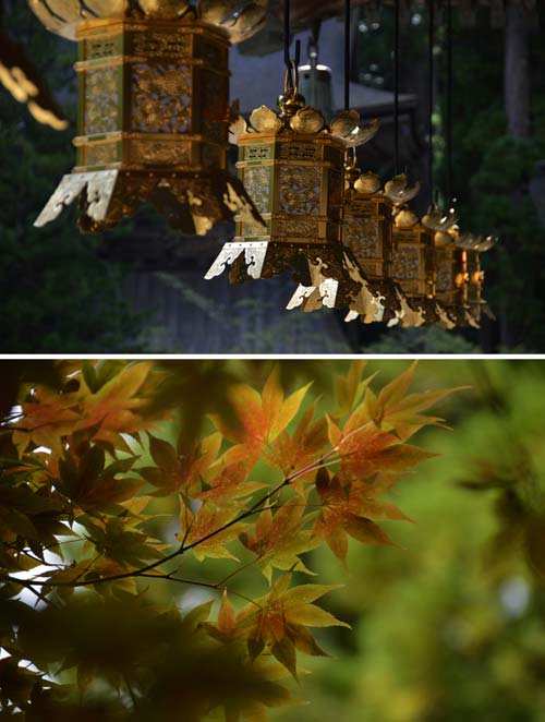 Koyasan 3-miedo danjo garan foto andrea mancaniello