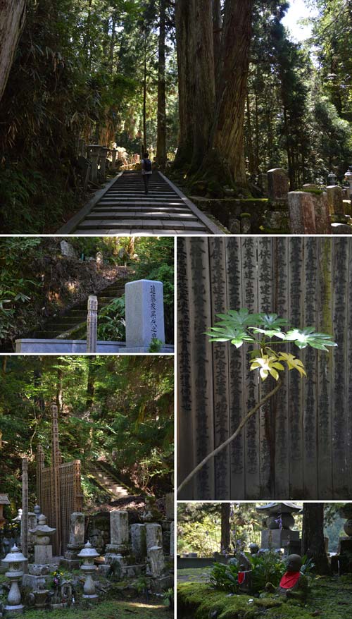 Koyasan 8 cimitero okunoin-foto andrea mancaniello