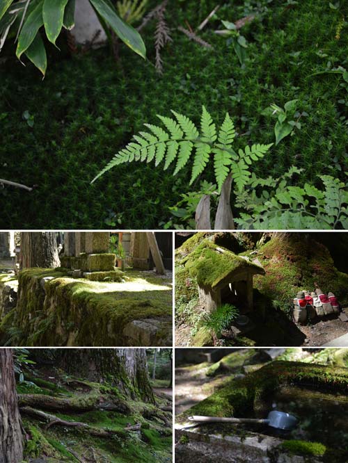 Koyasan 9 cimitero okunoin-foto andrea mancaniello