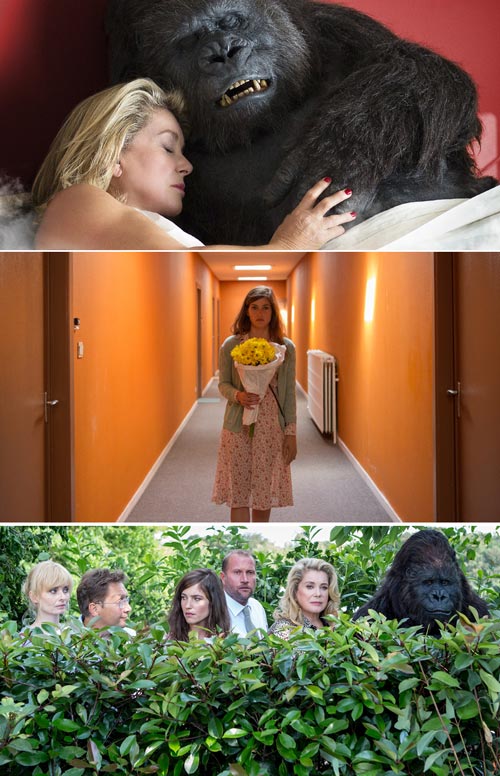 Dio esiste e vive a bruxelles 6