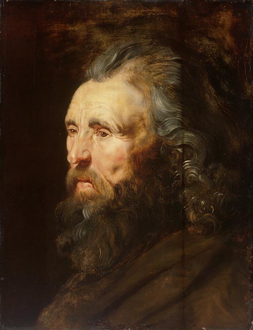 5 rubens testa-d uomo