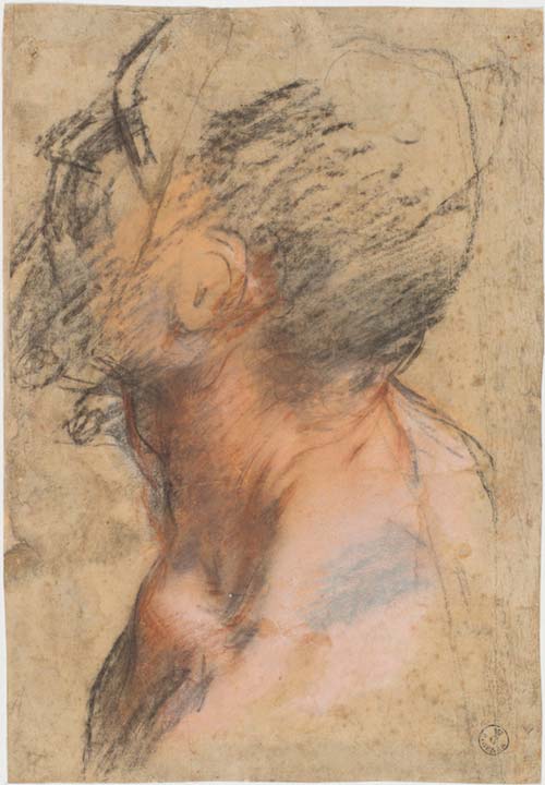 Testa d’uomo (per la “Chiamata di sant’Andrea” Bruxelles, Musées royaux des Beaux-Arts de Belgique), 1580-1583,