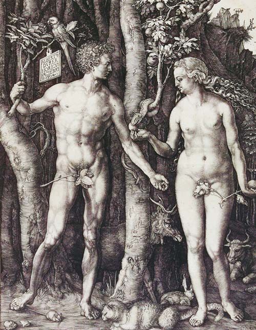 Albrecht duerer adam und eva