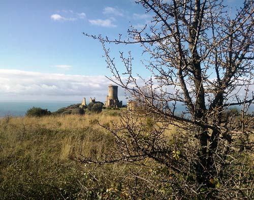 4 torre normanna castellamare di velia borgo sul promontorio dell acropoli di elea